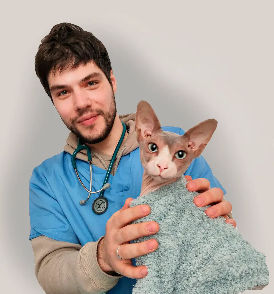 Doctor 1
